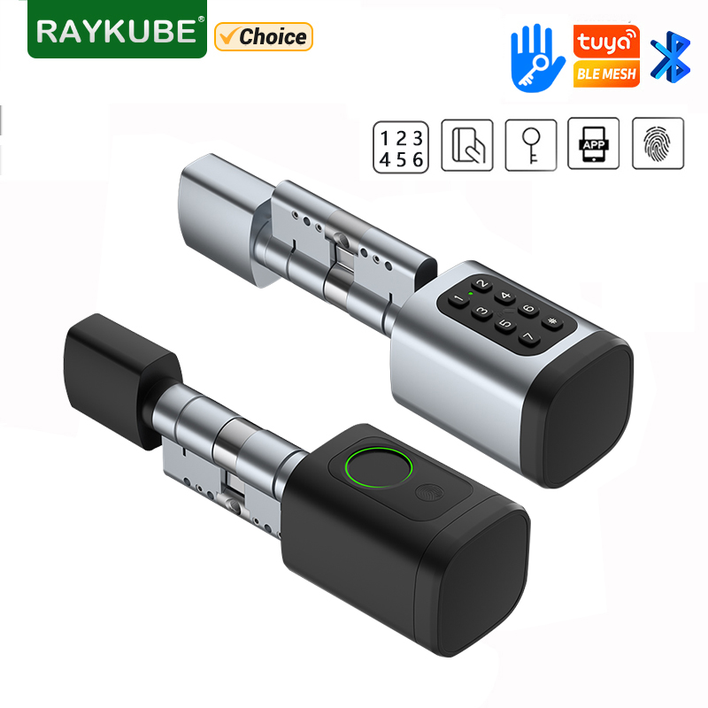 RAYKUBE V1 Tuya BLE TT Lock Sm - Home Automation System Diy recensione e prezzo