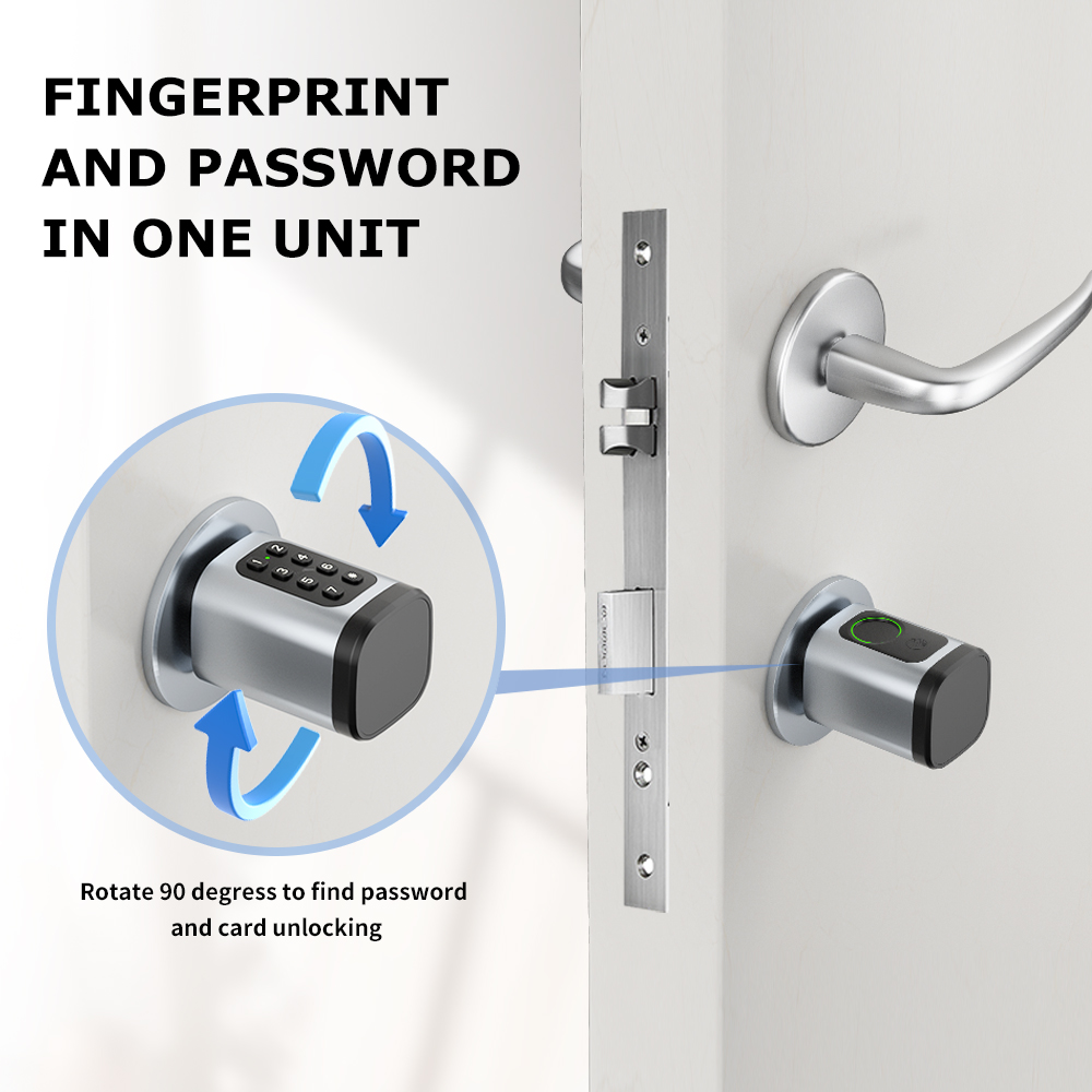 RAYKUBE V1 Tuya BLE TT Lock Sm - Home Automation System Diy recensione e prezzo