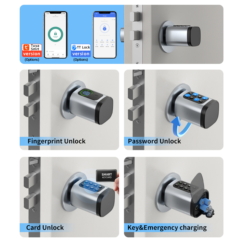 RAYKUBE V1 Tuya BLE TT Lock Sm - Home Automation System Diy recensione e prezzo