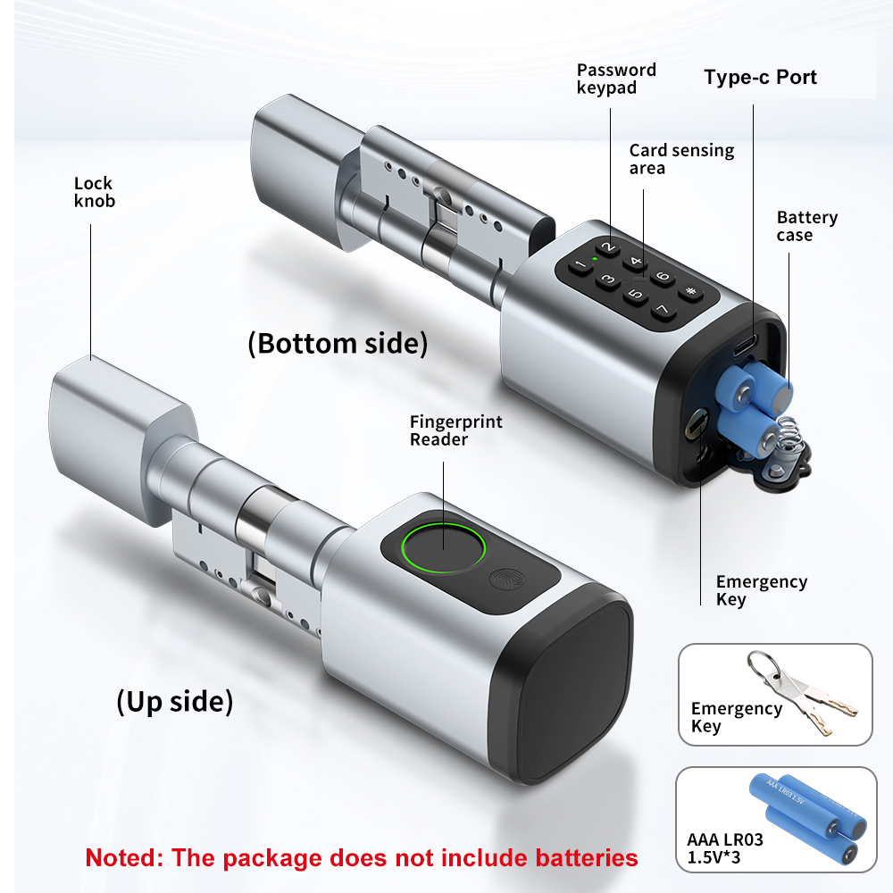 RAYKUBE V1 Tuya BLE TT Lock Sm - Home Automation System Diy recensione e prezzo