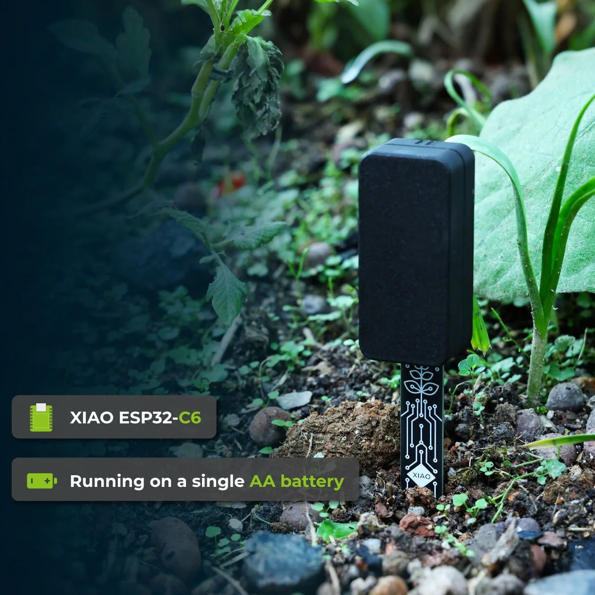 XIAO ESP32 C6 Soil Moisture Se - Home Automation Tutorial recensione e prezzo