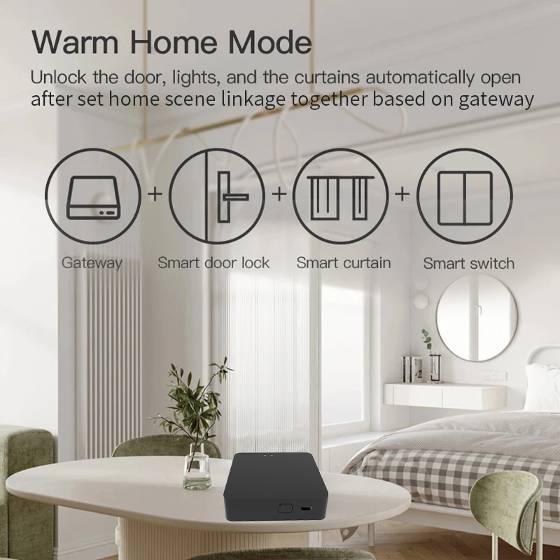 Work with Tuya Smart Zigbee+ B - Diy Home Automation Hub recensione e prezzo